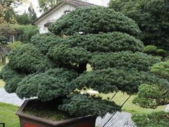 -水绘园