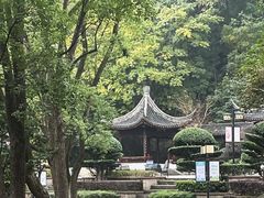 -忠山公园
