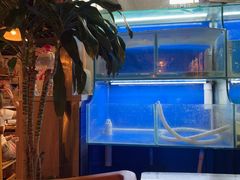 -阿鸡鱼庄·顺德鲜蒸小炒(亚运村店)
