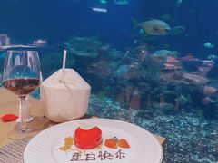-涛·海底餐厅·美人鱼·自助餐·海底隧道(三亚海棠湾洲际度假酒店)