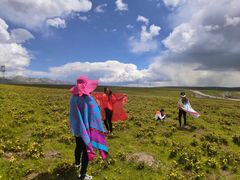 -青海湖国家重点风景名胜区