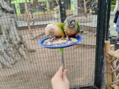 -北京野生动物园