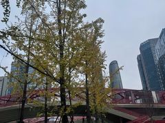 -合景·悠方(成都店)