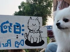 -翊宠yipet猫狗购宠庄园犬舍•猫舍