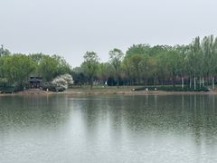 -北坞公园