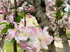 -元大都城垣遗址公园