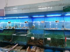 -叶姐海鲜(棋子湾店)