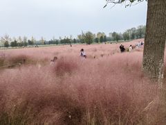 -汉长安城未央宫国家考古遗址公园