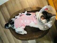 -达爱动物医院·犬猫分区·CT·复杂眼科(远洋山水分院)