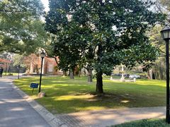 -叶叶菩提·晋福宫