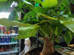 -湘当爱·鲜煮现炒(松岗立业路店)