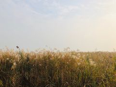-苏州吴中太湖旅游区