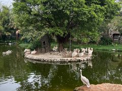 -深圳野生动物园