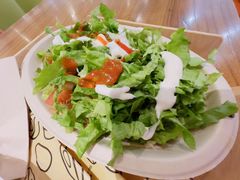 -油梨树 AVOCADO TREE(亮马桥店)