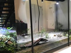 -CHIC1699远洋私厨