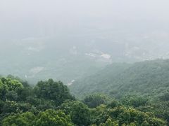 -杭州半山国家森林公园