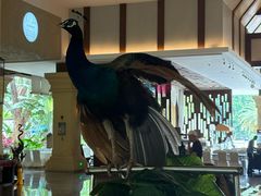 -西双版纳融创皇冠假日度假酒店