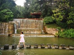 -成飞公园