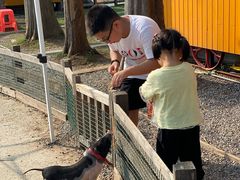 -前小桔亲子创意农场·草莓采摘·露营烧烤