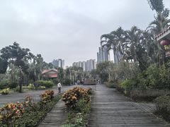 -中澳友谊花园