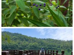 -红旗山庄(圭峰山店)