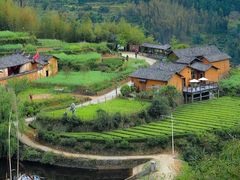 -杨家堂村