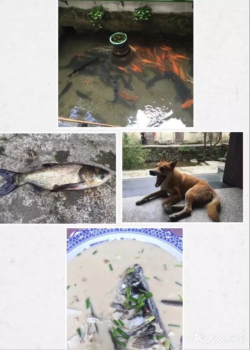 十月江南烟雨