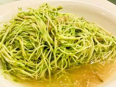 炒豆芽-天宫南铂玫瑰园酒店