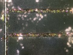 -谷咖啡·鲜花绿植花园餐厅