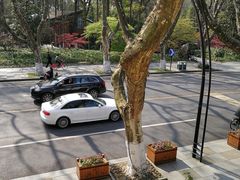 -也枫·小黄楼(南山路旗舰店)