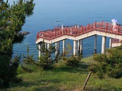 -养马岛旅游度假区