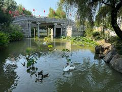-洛阳市隋唐城遗址植物园