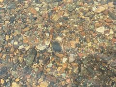 -白河湾生态旅游一条川