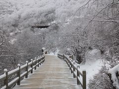 -黄龙山原始森林景区