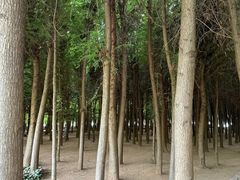 -捞渔河湿地公园