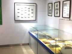 -上海昆虫博物馆