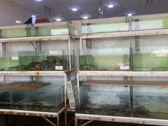 -ZF Seafood Restaurant 卓峰海鲜餐
