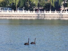 -后海公园