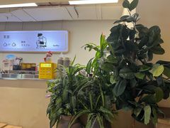 -狐狸和向日葵(北京路店)