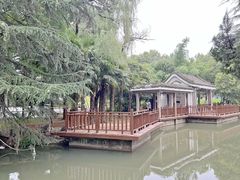 -西苑公园