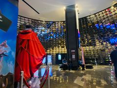 -武商摩尔影城(国广IMAX激光店)
