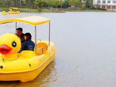 -上海长兴岛郊野公园