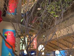 -桂满陇·海市蜃楼·黑金(国金店)