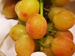 -马陆小张葡萄园农家乐