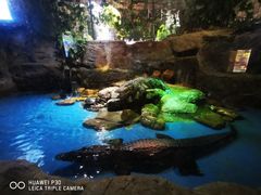 -多彩贵州城极地海洋世界