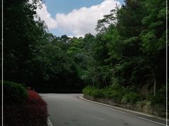 -广州市流溪河国家森林公园
