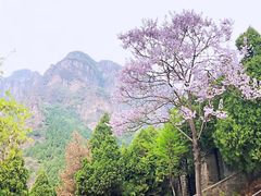 -狼牙山风景区