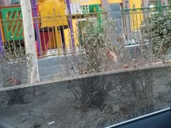 -石家庄市桥西区慧聪幼儿园