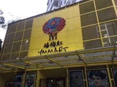 -杨梅红艺术教育(深圳南山书城教学中心)