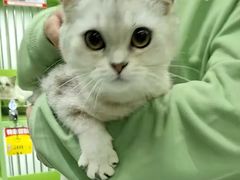-唐小姐の猫狗洗护·购宠旗舰店(周浦万达店)